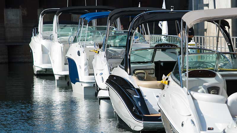 boats line a marina