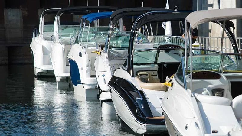 boats line a marina