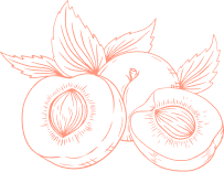 Peach Illustration