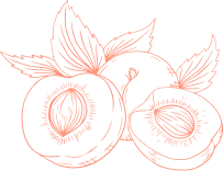 Peach Illustration
